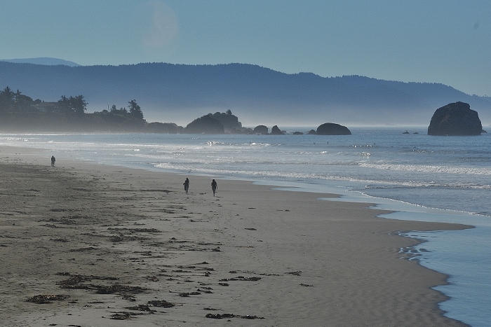 beach scene 
